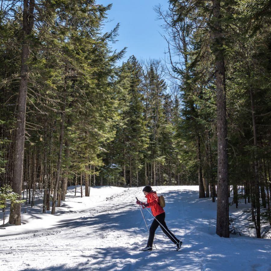 Crosscountry ski New Brunswick